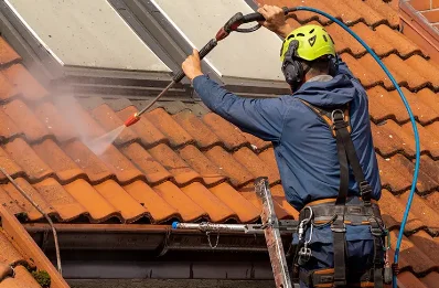 Démoussage et hydrofuge de toiture à Palazinges